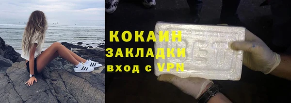 сатива Аркадак