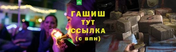 сатива Аркадак