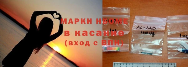 сатива Аркадак