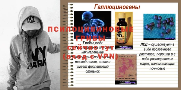 сатива Аркадак