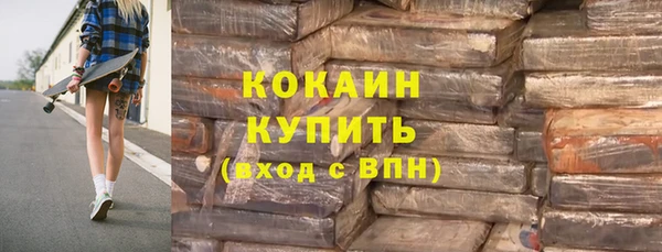 сатива Аркадак