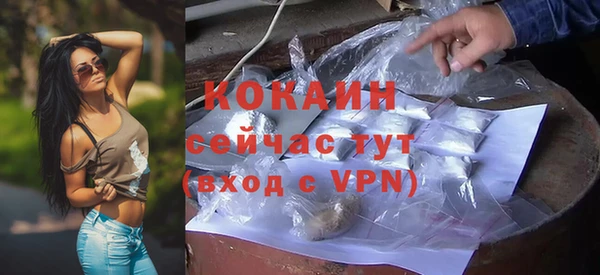 сатива Аркадак