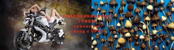 МДМА Арсеньев